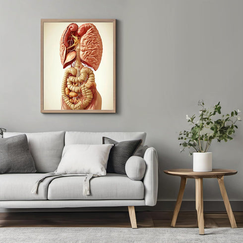 Posterizer 1 pcs-anatomical illustration of the human digestive system 1-Teachers & Classrooms-Abstract & Modern Art-School and classroom art- unf...