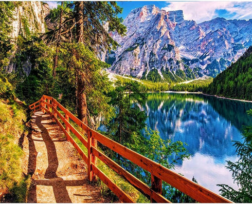 Braies Lake Painting National Park Mountain Paint by Number Kits 16 x 20 inch Canvas DIY Green Leaves Froest Painting for Kids Adults Beginner wit...