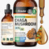 BIO KRAUTER Chaga Mushroom Extract - Chaga Tincture for Immune Support - Vegan, Alcohol & Sugar Free Drops 4 Fl.Oz....