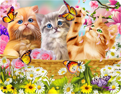 Magnet - Kitten Fun Time from Deluxebase. Lenticular 3D Cat Fridge Magnet. Magnetic Decor for Kids and Adults with Artwork Licensed from Renowned ...