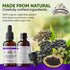 Elderberry Syrup, Organic Black Elderberry Extract for Immune Support, Non-GMO in Cold-Pressed Organic Vegetable Glycerin 2 Fl Oz...