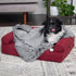 Furhaven Waterproof Throw Blanket for Dogs & Indoor Cats, Washable - Shaggy Plush Calming Long Faux Fur & Velvet Dog Blanket - Gray, Small...