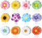 24 Pieces Flower Magnets Magnetic Flowers Seasonal Daisy Sunflower Magnet Decals Removable Colorful Magnets for Fridge Car......