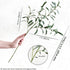 FiveSeasonStuff Lifelike Olive Branches – Premium 30-inch Faux Greenery with Realistic Gray-Green Leaves & Bendable Stems – 6 Stems for Home, Even...