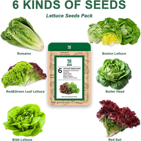 Lettuce Seed Pod Kit for AeroGarden, Included Romaine/Bibb and Boston Lettuce/Red and Green Leaf/Butter Head/Buttercrunch, Plant Food and Accessor...