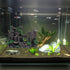 PINVNBY Resin Classical Castle Reptile Habitat Decorations Lizard Hideouts Cave Terrarium Realistic Details Ornament Aquarium Accessories for Cham...