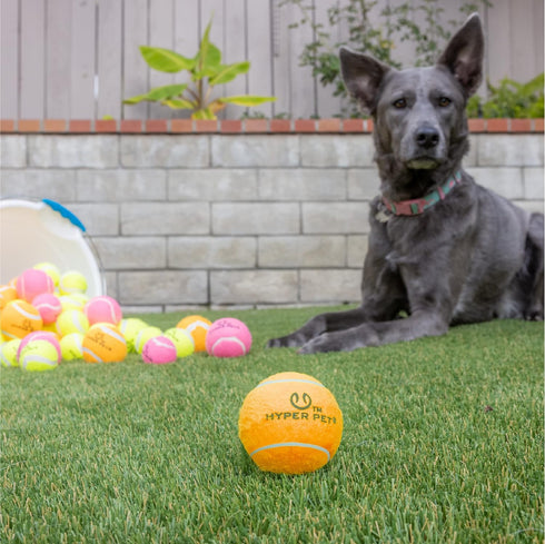 Hyper Pet Tennis Balls for Dogs (Pet Safe Ball for Exercise and Training) Interactive Dog Toys work with Hyper Pet K9 Kannon K2 Dog Ball Launcher ...