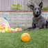 Hyper Pet Tennis Balls for Dogs (Pet Safe Ball for Exercise and Training) Interactive Dog Toys work with Hyper Pet K9 Kannon K2 Dog Ball Launcher ...