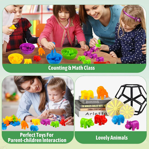 RAEQKS Counting Sorting Toys Matching Stacking Toys with Bowls Preschool Learning Activities Educational Sensory Game Montessori STEM Toy Daycare ...