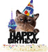 Cat Happy Birthday Cake Topper - Pet themed Party Black Glitter Decoration Supplies...