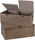 2 Pack Storage Boxes with Lids and Handles, Collapsible Linen Storage Bins Organizer Containers Baskets Cube with Removable Divider for Home Bedro...
