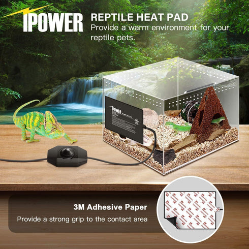 iPower 6 by 8-Inch Reptile Heat Mat with Temperature Adjustable Controller Knob, LCD Digital Aquarium Thermometer, Under Tank Warmer Terrarium Hea...