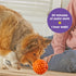 Brightkins Tough & Tumble Small Pufferfish - Interactive Dog Puzzle Toy for All Breeds, Rubber Dog Toys for Aggressive Play...