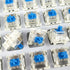 Gateron G Blue Pro 3.0 Switches,5 Pin Pre Lubed RGB SMD Clicky Switches for MX Gaming Mechanical Keyboard (G Pro 3.0,Blue,72PCS)...