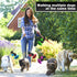 4pcs Silicone Dog Poop Bag Holder, Pet Waste Bag Holder, Dog Poop Bag Dispenser Hand Free Holder for Leash Dog Walking Bike Accessory Holder (Blac...