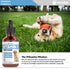 Vitamin D for Dogs | Supports Strong & Health Bones | Vitamin D Supplements for Dogs | Vitamin D Dog | Dog Vitamins and Supplements | Dog Vitamins...