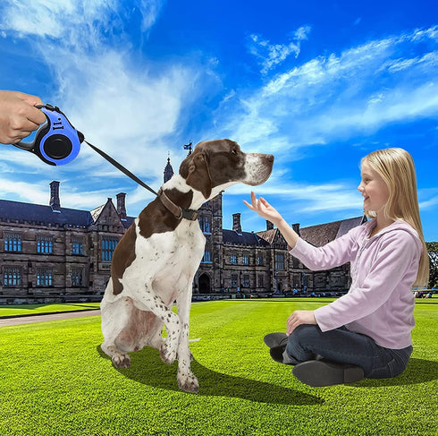Retractable Dog Leash,Heavy Duty Dog Leash Retractable,Dog Walking Leash for Small Dog or Cat up to 26 lbs,360° Tangle-Free Strong Nylon Tape,Anti...