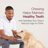 SmartBones Sticks Wrapped with Real Chicken, Steak and Quinoa Rawhide-Free Chews for Dogs, 5 Chews Per Pack, 4.4 Ounces...