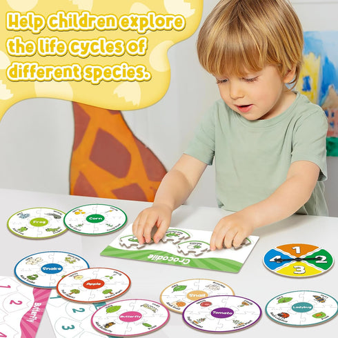 Life Cycle Toys for Kids,Toddler Puzzles,Animal Plant Insect Bug Ladybug Butterfly Tadpole to Frog Kit,Montessori Learning & Education Toys,Presch...