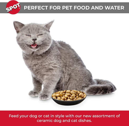 SPOT by Ethical Products - Heavy Ceramic High Gloss Dog Bowl Cat Bowl Durable Dog Food and Water Pet Dish - Dishwasher Safe - 2 TONE GRAY OVAL CAT...