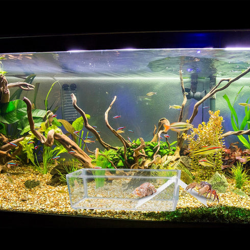 2 Pack Large Transparent Hermit Crab Water Tank with Climbing Ramp, Hermit Crab Aquarium Tank Cage Salt Water Pool Accessories, Hermit Crab Habita...