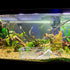 2 Pack Large Transparent Hermit Crab Water Tank with Climbing Ramp, Hermit Crab Aquarium Tank Cage Salt Water Pool Accessories, Hermit Crab Habita...