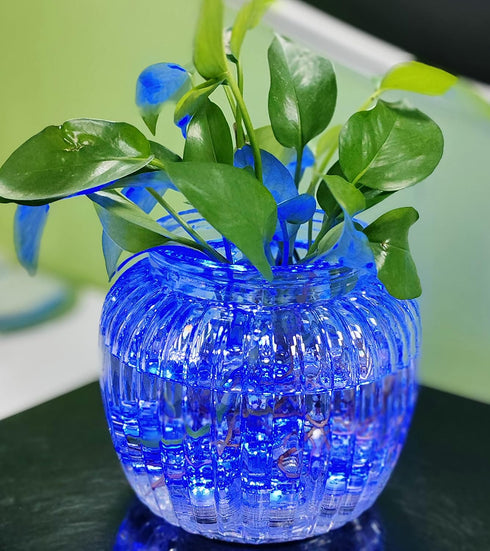 Bright LED Battery Operated Flameless Tea Light, Submersible Tea Candle Waterproof Decorations Underwater Vase Light for Party & Wedding, Pack of ...