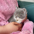 Cat Sling Carrier,Dog Carrying Bag,Small Pet Sing Carrier Chest,Cat Sling Accompany Carrier Bag Hands Free,Soft and Breathable Shoulder Back Indoo...