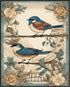 Posterizer 1 pcs- Two blue birds with wild flowers arround them-Art for Animal Lovers-Floral Botanical Art- Gift for Men Women Teens-Decor for Ho...