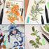 Chalk Marker, Liquid Chalk Markers, Drawing Chalk, for Chalkboard, Window, label Etc 12 color...