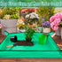 27" X 27" Repotting Mat for Indoor Plants Transplanting and Dirt Control, Portable Potting Tray Succulent Planting Mat Gardening Gifts Plant Gifts...