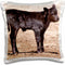 3dRose pc_140260_1 Black Angus Cow Standing in Pasture Na02 Pwo0002 Piperanne Worcester Pillow Case, 16" x 16"...