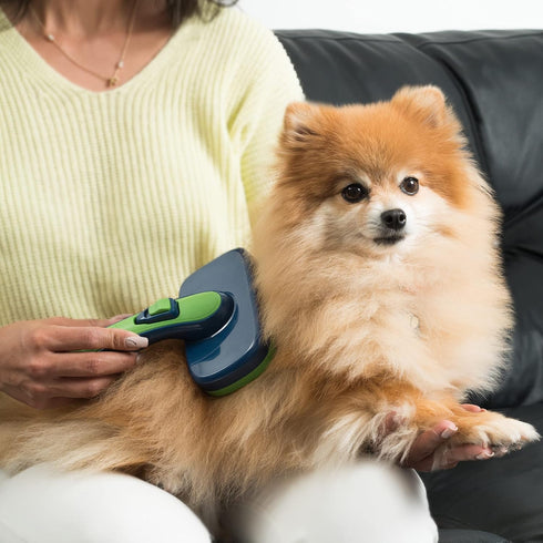 Pet Slicker Brush - Dog Brush & Cat Brush for Long Haired Cats - Dog Grooming Brush - Dog Brushes for Shedding - Dog Hair Brush - Grooming Product...