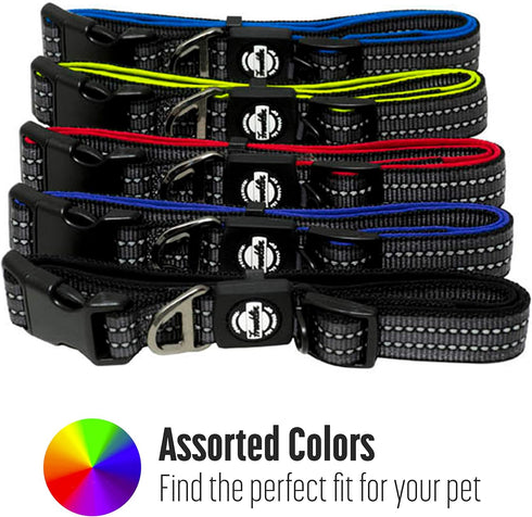 Nylon Dog Collar – Reflective – Franklin Pet Supply Co™ – Comfort Fit – Neoprene – Adjustable – Large – Black...