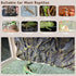 Reptile Rock Tank Background Board Bearded Dragon 3D Aquarium Backgrounds Terrarium Habitat Stereo Backdrop Wall Decor for Gecko Lizard Chameleon ...
