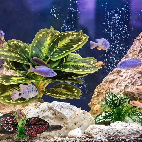 Reptile Artificial Plants, Terrarium Plants Decorations Supplies, Aquarium Fish Tank Plant, Amphibian Habitat Hideout Tank Accessories(L Set-3pcs/...