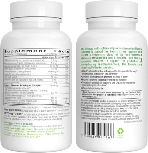 Advanced Ashwagandha KSM-66, L-Theanine & Magnesium, Clean Label, Multi Action Adaptogen Complex for Stress Support with Zinc & B Vitamins, 60 Veg...