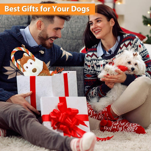 Rope-Infused Squeaky Dog Toys for Large Dogs, Interactive Tug of War Puppy Toy, Cute Pet Toys Large Plush Dog Chew Toys for Small, Medium and Big ...