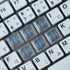 Chocfox Keycaps Low Profile PBT Keycaps for Kailh Chocolate Switch Mechanical Keyboard(Frosted transparent white, 1U-40Pcs)...