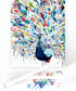 Slody Paint by Number for Adults Peacock Adult Paint by Number Kits on Rollded Canvas Colorful Animal Drawing Acrylic Beginner Paintwork DIY Craft...