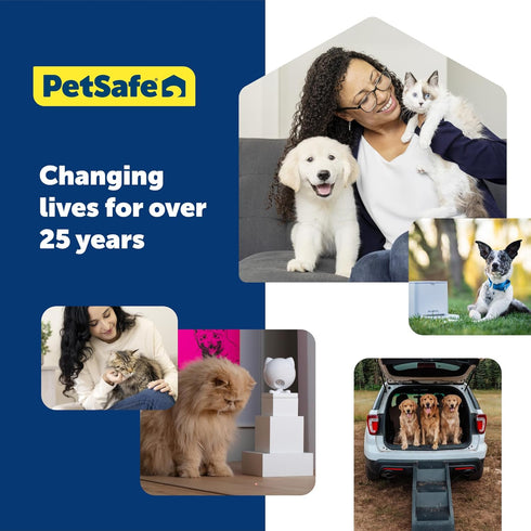 PetSafe Treat Pouch Mini - Durable, Convenient Dog Training Accessory, Black...