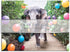 Galison Gray Malin at The Parker Double-Sided Puzzle, 500 Pieces, 24” x 18” – Art Jigsaw Puzzle Featuring Malin’s Iconic Photography–Thick, Sturdy...