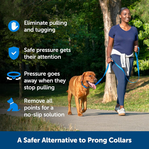 PetSafe Soft Point Replacement Pack Soft Point Training Collar No Pull Collar 4 Pack Replacement Soft Points...