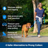 PetSafe Soft Point Training Collar - Helps Stop Pulling - Safer Than Prong or Choke Collars - Teaches Better Leash Manners - No Pull Training Coll...