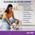 Pet MD Probiotics & Enzymes for Dogs - Gut Health Chews with Prebiotics - Digestive Aid for Dogs with Upset Stomach, Diarrhea, Constipation, or Ga...
