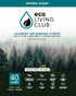 Laundry Detergent Sheets Usage (Up to 80 loads), Hypoallergenic, Biodegradable, Travel Friendly Strips (Spring Scent)...