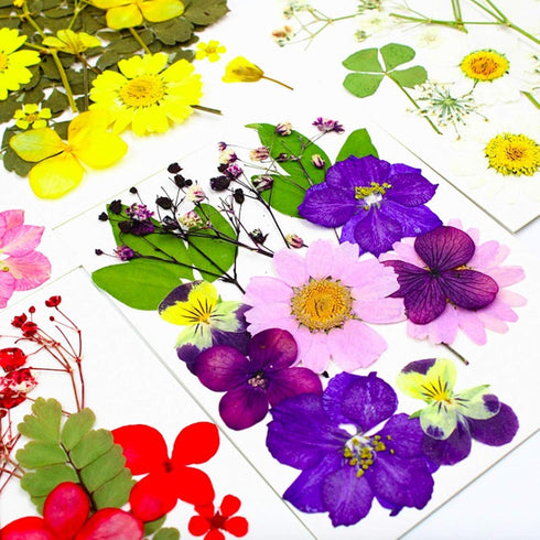 92 Pcs Purple Dried Pressed Flowers Real Natural Leave Petals for DIY Resin Candle Jewelry Nail Crafts...