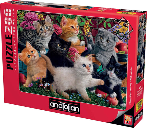 Anatolian Puzzle - Kittens at Play, 260 Piece Jigsaw Puzzle, 3327 (ANA3327)...