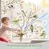 DKTIE Window Privacy Cling Film with Installation Tools, Stained Glass Opaque Non-Adhesive Frosted Bird Coverings Removable for Bathroom Shower Do...