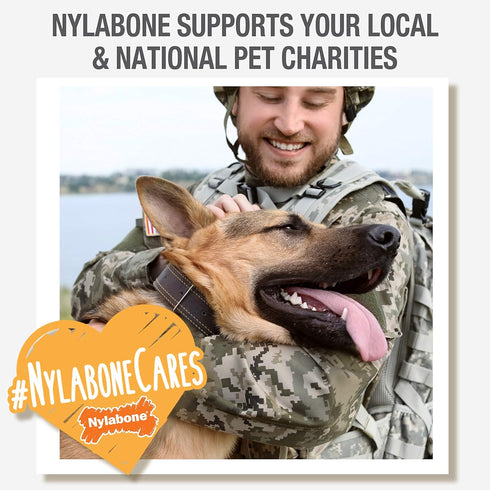 Nylabone Healthy Edibles Natural Dog Chews Long Lasting Bacon Flavor Treats for Dogs, Medium/Wolf (2 Count)...